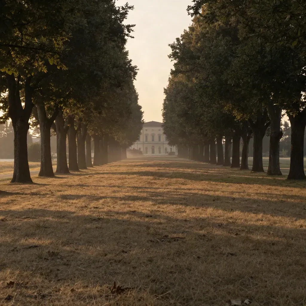 Viale alberato nel parco di Monza e Brianza al tramonto, villa lontana e bruma morbida.